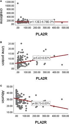 Preliminary study on the efficacy of rituximab in the treatment of idiopathic membranous nephropathy: A single-centre experience